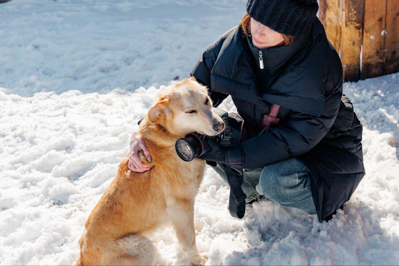 Фото Медиаволонтеры СГУГиТ помогли четвероногим подопечным приюта «Верность» в поисках своего дома 2